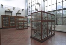 Il MUST di Parma rimarrà chiuso tutto agosto