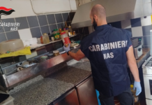 Nas di Parma. Sospesa l’attività di un bar nel parmense